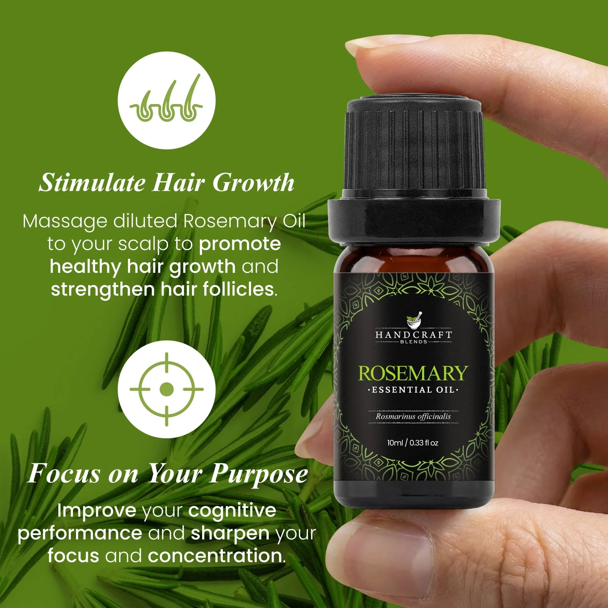 Hand holding 10ml rosemary essential oil bottle for hair growth and cognitive focus, green background.