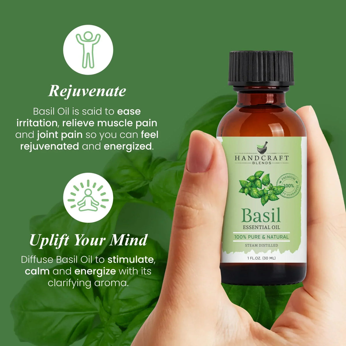 Hand holding bottle of basil essential oil, basil leaves background, green wellness banner