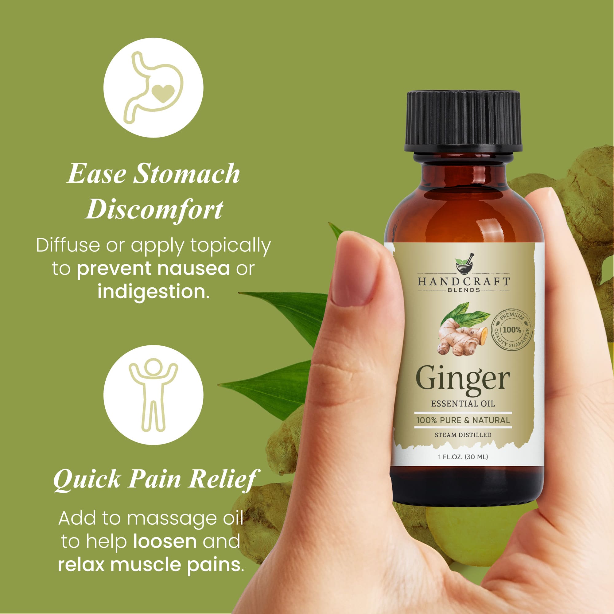Hand holding bottle of ginger essential oil with benefits for nausea and muscle relief on green background.