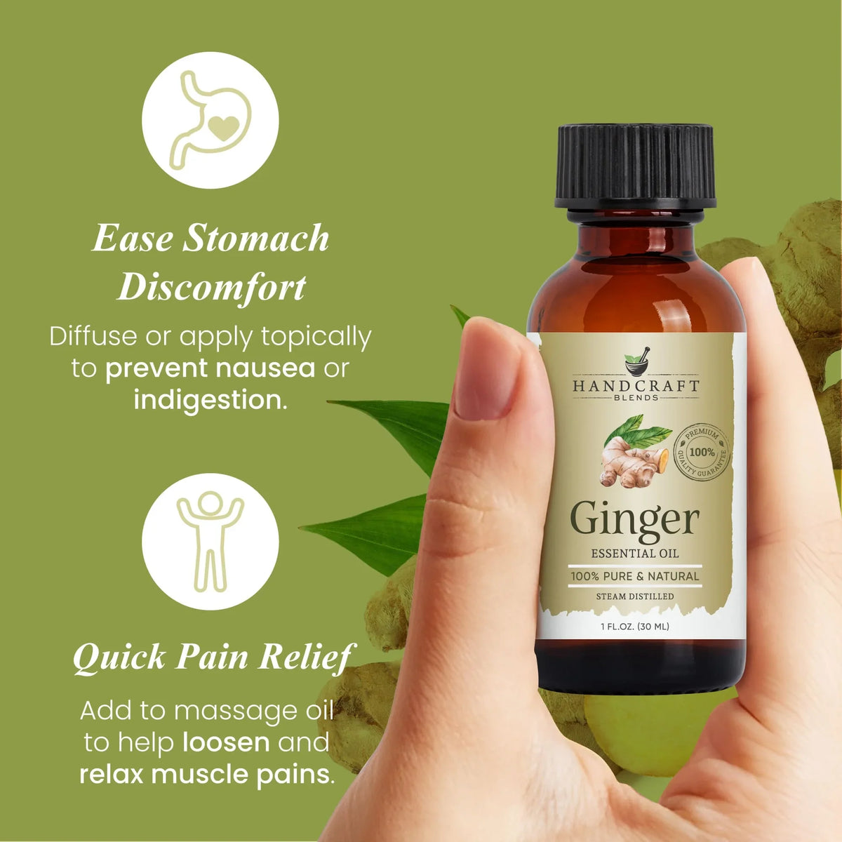 Hand holding bottle of ginger essential oil with benefits for nausea and muscle relief on green background.