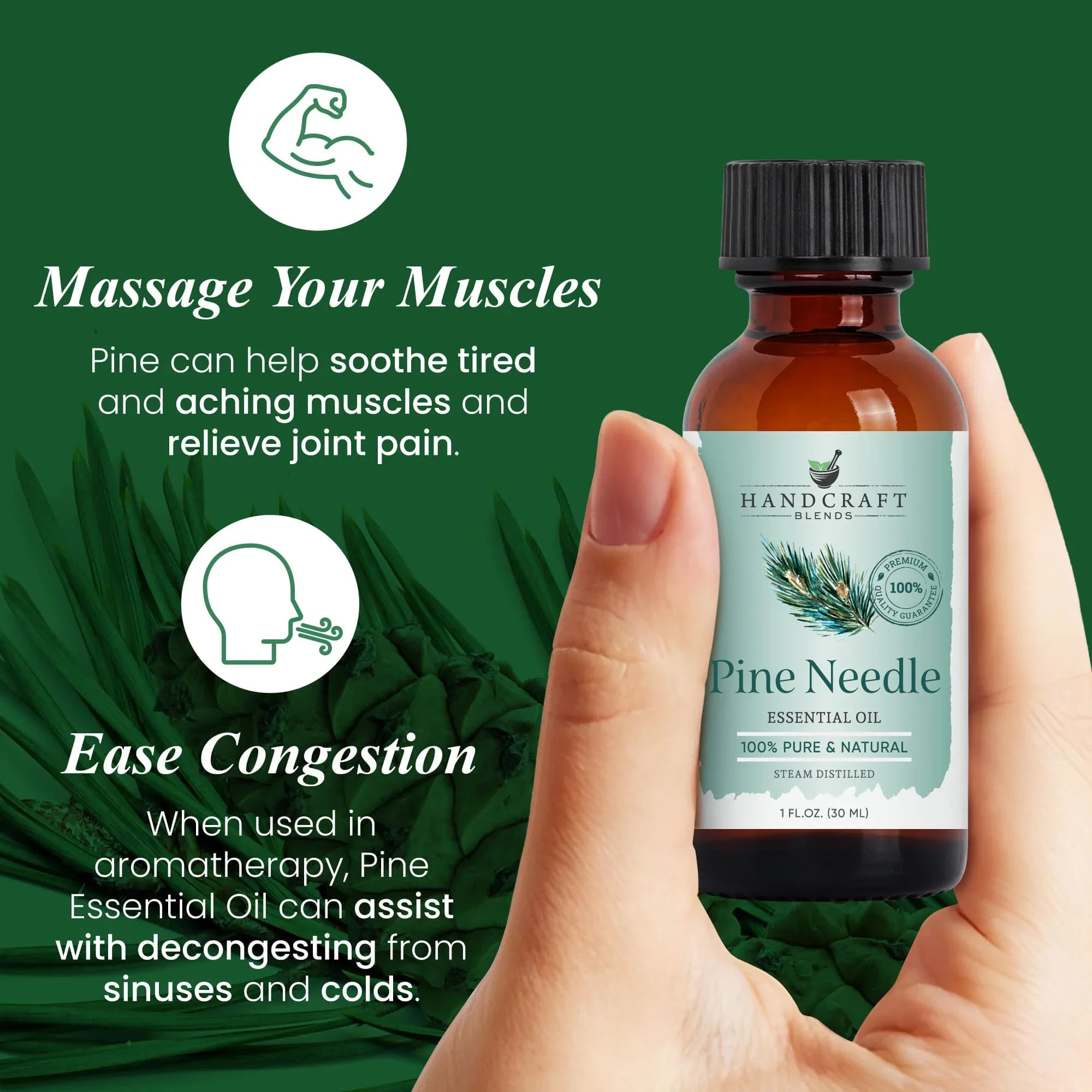 Hand holding a 1 oz pine needle essential oil bottle with benefits for muscles and congestion on green background.