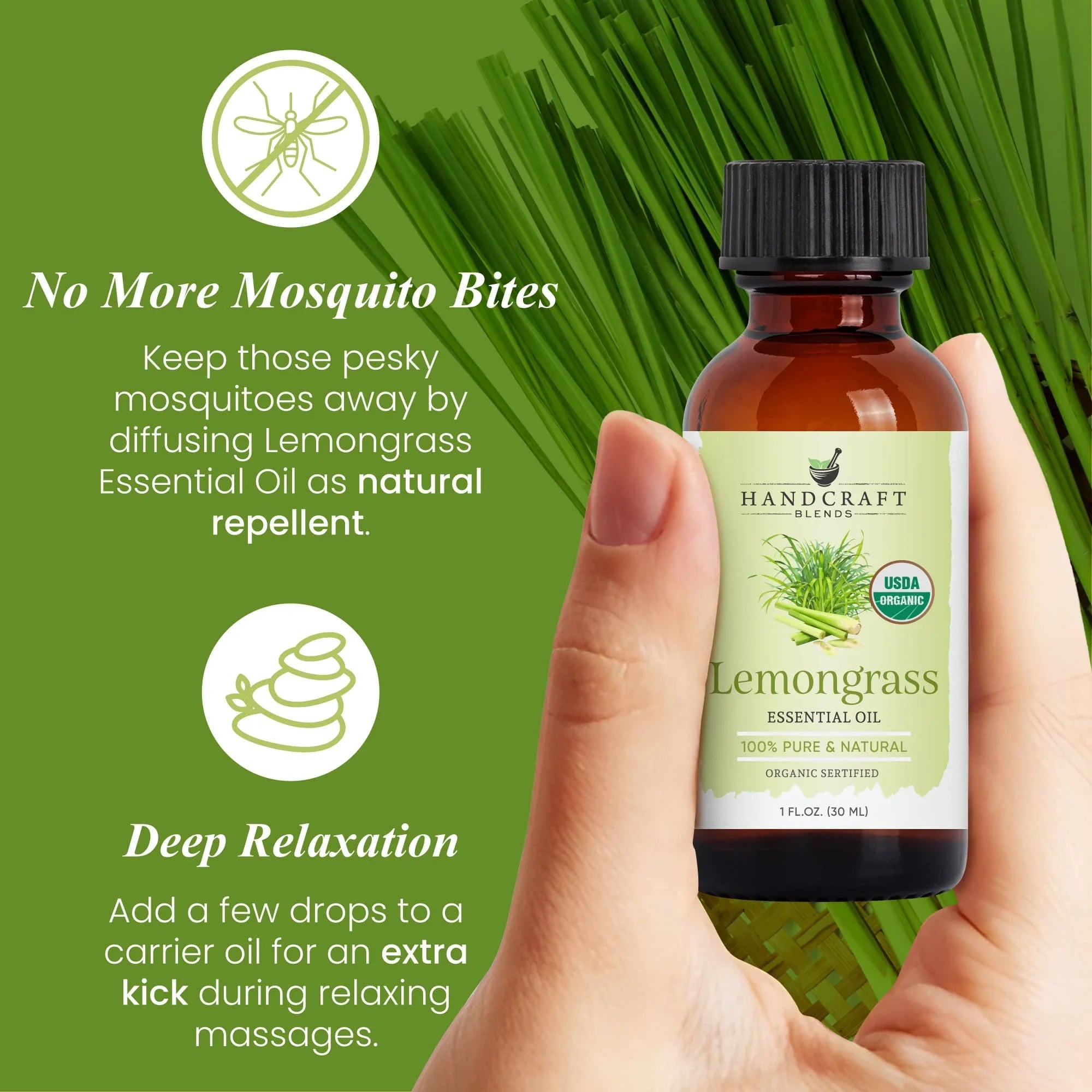 Hand holding lemongrass essential oil bottle, lemongrass background, natural mosquito repellent