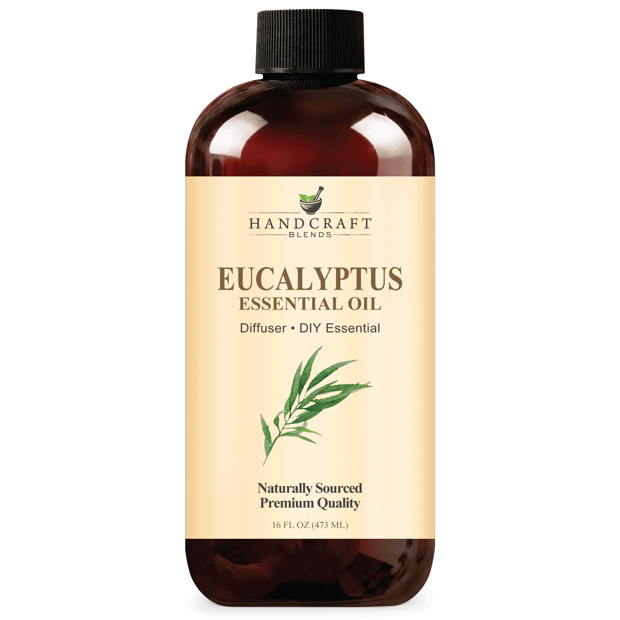 16oz bottle of eucalyptus essential oil for diffuser and DIY aromatherapy