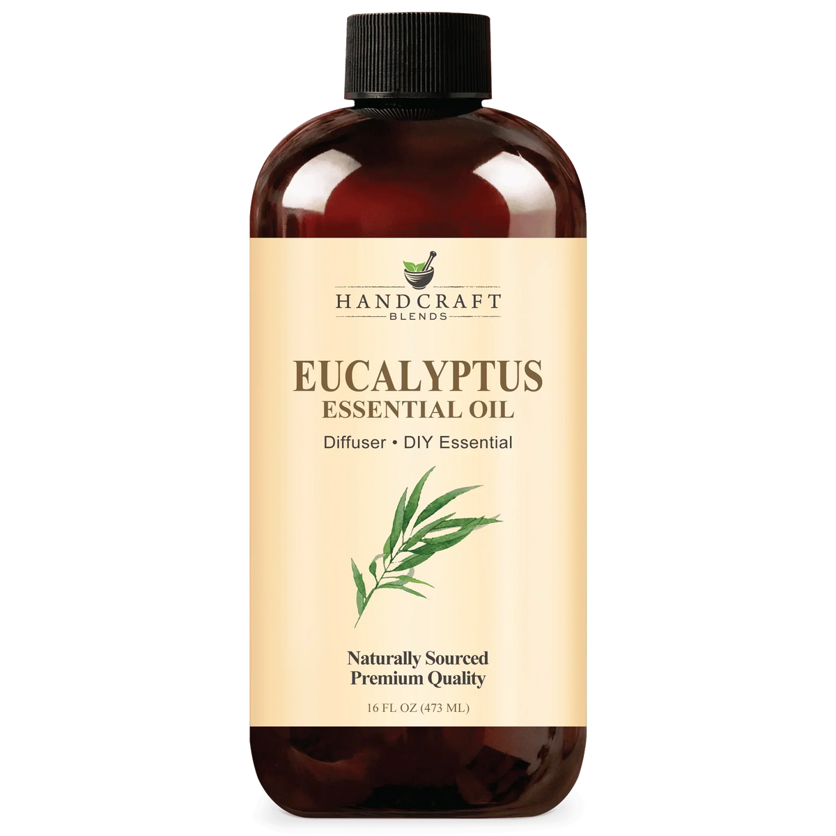 16oz bottle of eucalyptus essential oil for diffuser and DIY aromatherapy
