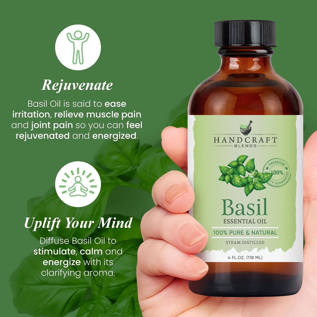 Hand holding 4 oz basil essential oil bottle, green leaves background, wellness benefits text