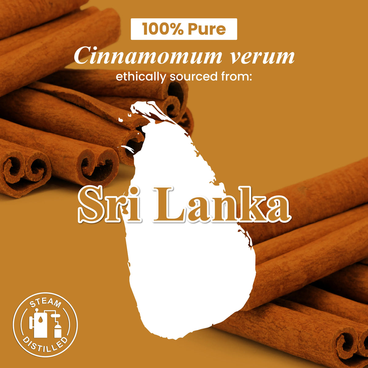 Cinnamon Essential Oil
