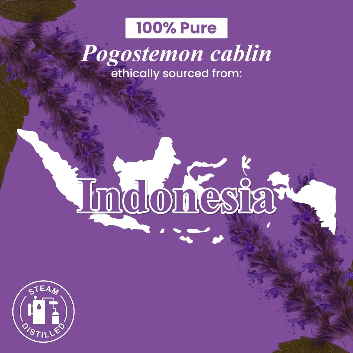 Patchouli Essential Oil