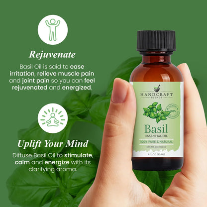 Hand holding bottle of basil essential oil, basil leaves background, green wellness banner