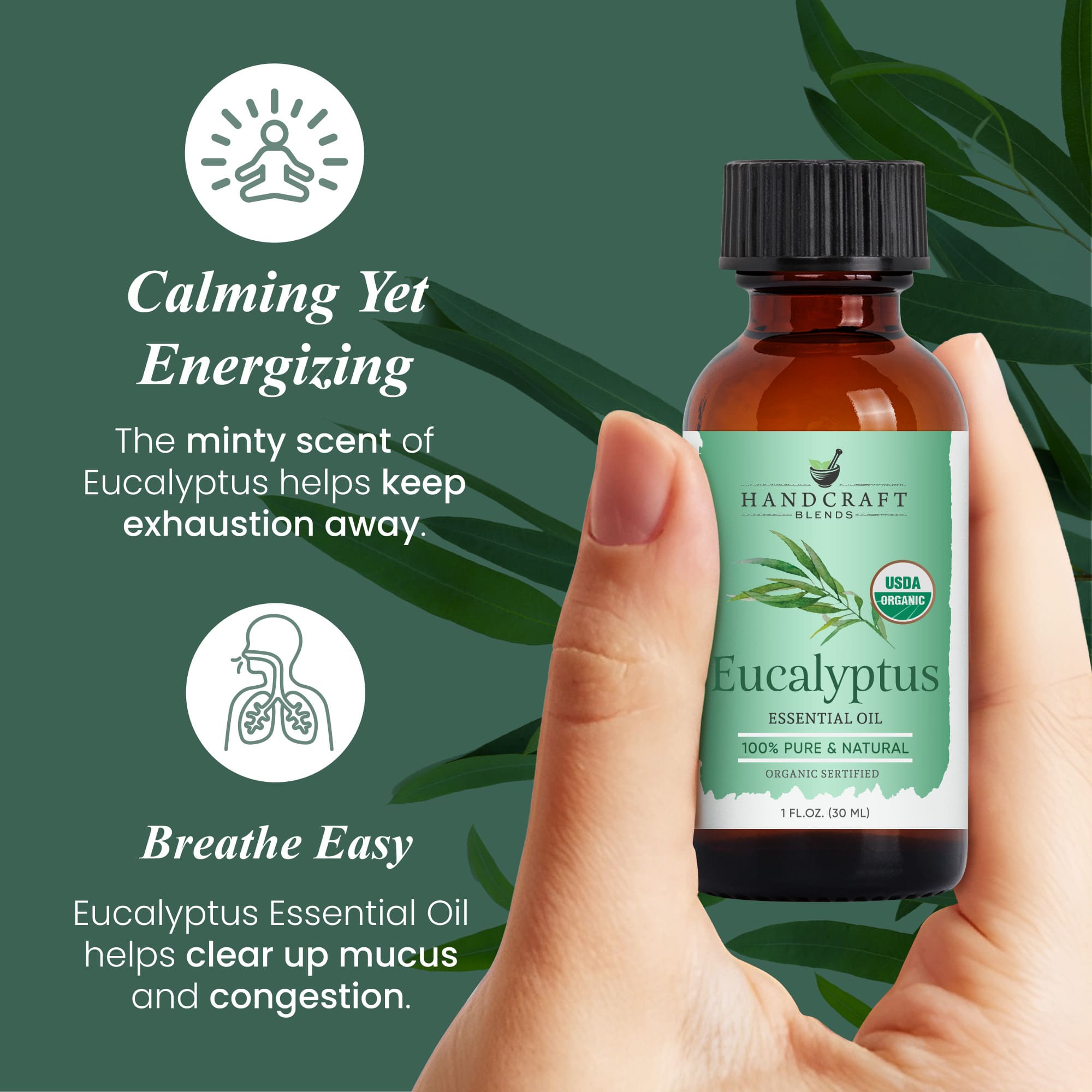 Hand holding bottle of eucalyptus essential oil labeled organic, green leafy background, aromatherapy