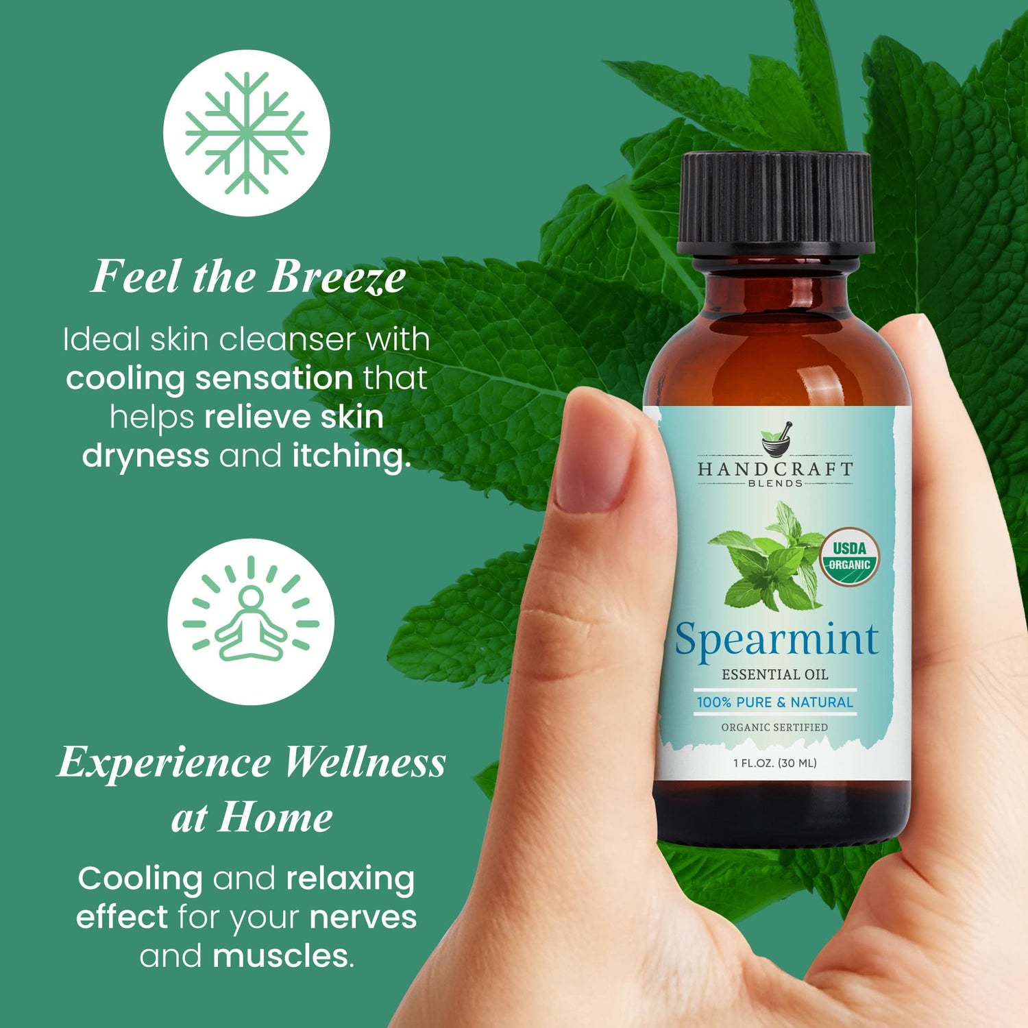 Hand holding a bottle of spearmint essential oil with mint leaves and wellness benefits text.