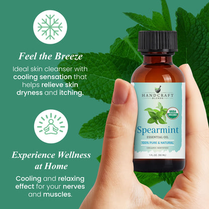 Hand holding a bottle of spearmint essential oil with mint leaves and wellness benefits text.