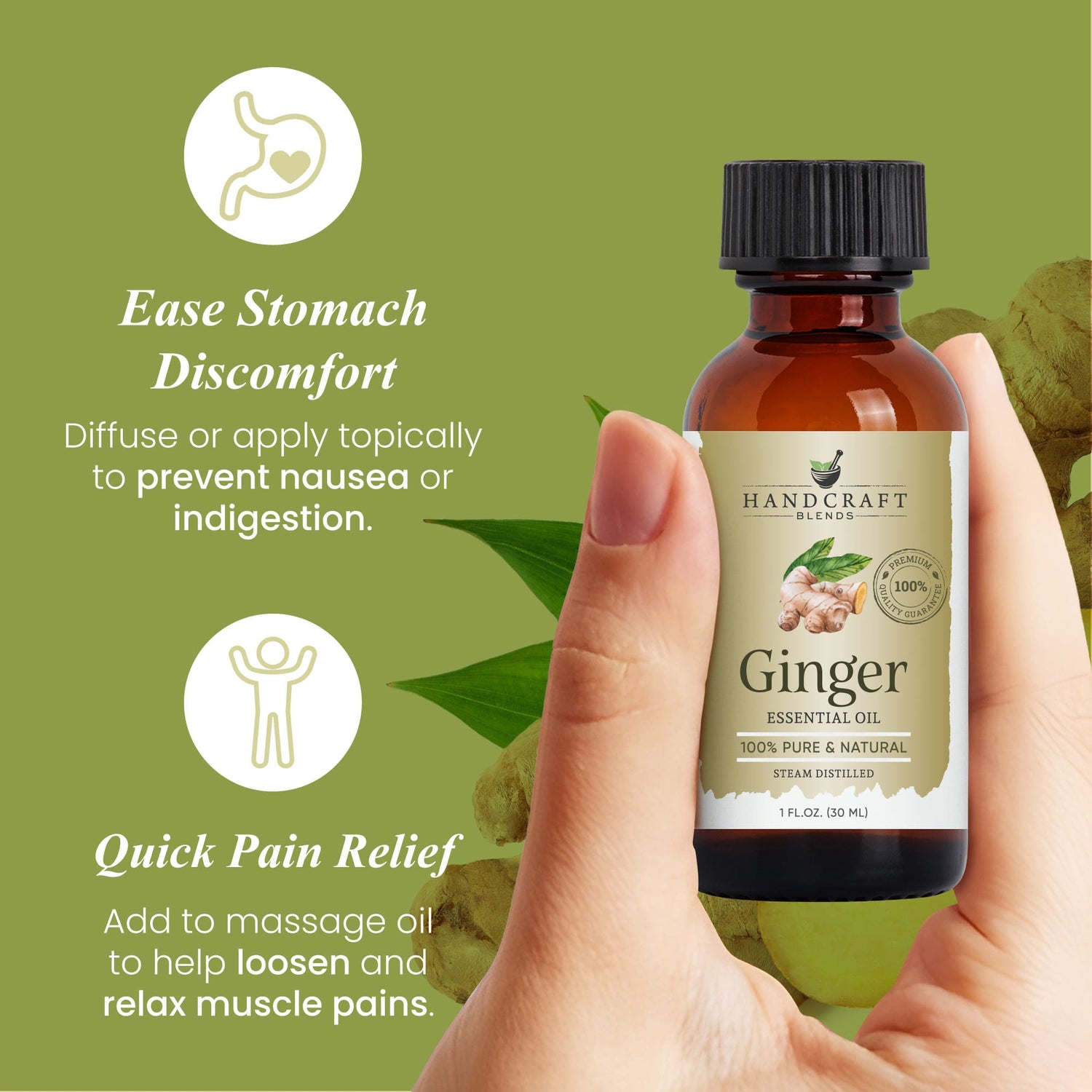 Hand holding bottle of ginger essential oil with benefits for nausea and muscle relief on green background.