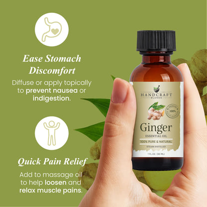 Hand holding bottle of ginger essential oil with benefits for nausea and muscle relief on green background.
