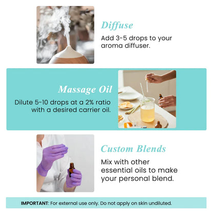 Essential oil usage guide showing diffuser, massage oil mixing, and custom blend instructions.